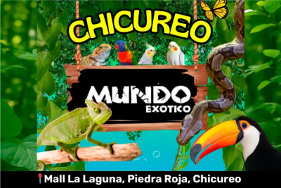 MUNDO EXOTICO EN CHICUREO - Animales