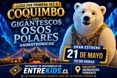 Gigantes Osos Polares en Coquimbo con New Golden Circus - Circo